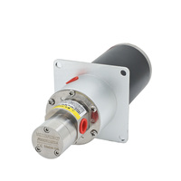 Pompe à engrenages à entraînement magnétique durable 0,9 ml/rev, corps en acier inoxydable 316L, moteur DC à balais, résistante aux acides et aux alcalis, qualité alimentaire