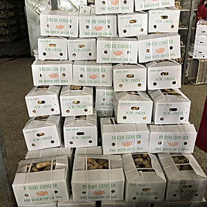 Nieuwe Oogst Chinese Lucht Gedroogde Verse Gember - Product Image 6