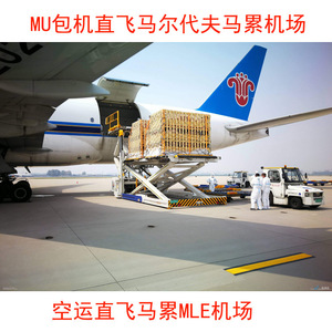 เที่ยวบินโดยตรงไปยังสนามบินมาเล บริการขนส่งสินค้าทางอากาศแบบเช่าเครื่องบินไปยังสนามบินมาเลดีวีส์ (MLE) - Product Image 2