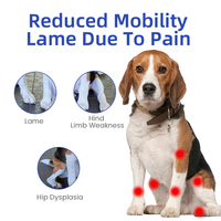 Échantillon gratuit de supplément articulaire de soutien pour animaux de compagnie comprimés à croquer pour chiens et chats santé articulaire et hanche pour le soulagement de la douleur chez les chiens