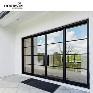 Doorwin High Quality Customize Personalized Modern Exterior Heat Insulation Waterproof Decorative Aluminum Hinged Door