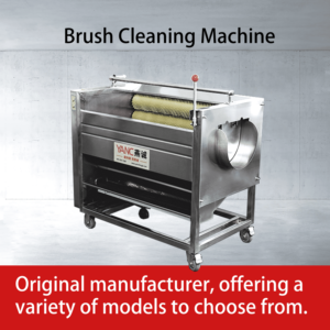 Macchina per la Pulizia di Frutta e Verdura, Rimozione di Sabbia e Buccia per Carote, Patate, Patate Dolci e Altro - Product Image 3