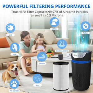 Filtre à charbon HEPA H13 pour purificateur d'air <span class=keywords><strong>Homedics</strong></span> AP-T30 AP-T30 Y AP-T30WT - Product Image 5