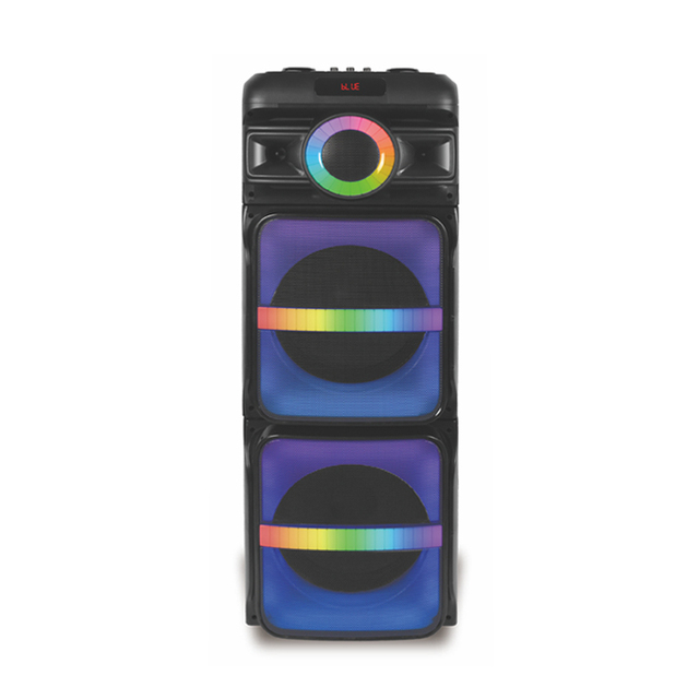 Dual 12 Inch Big Power Professional Dj Sound System Outdoor Active Powered Speaker with Two Microphones