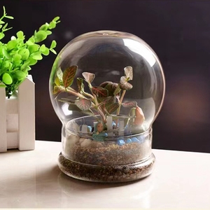 Terrario vuoto del barattolo <span class=keywords><strong>di</strong></span> campana del fiore conservato per le <span class=keywords><strong>piante</strong></span> con il supporto - Product Image 3