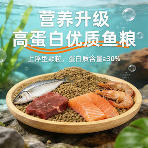 High Protein <b>Fish</b> Feed Granular For Ornamental And <b>Koi</b> <b>Fish</b> Aquatic Pet <b>Food</b> Shandong Origin Eco Friendly - Product Image 2