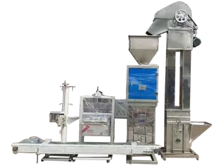 Grote Capaciteit Rijst Verpakkingsmachine Met Sealer En Transportband