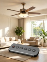 Control Remoto de Aluminio Personalizado para Calentador de Baño de 6 Botones, Controlador de Calentador Infrarrojo, Logotipo Personalizado, Compatible con OEM y ODM