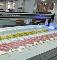 Raket Pickleball Serat Karbon T700 Custom Cold Press Terlaris Es6, Desain Kustom Seri Pro untuk Grosir Butik