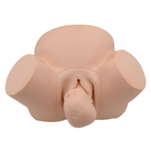Modèle de formation de sage-femme haute fidélité avec mannequin de simulation de précision anatomique pour la formation en obstétrique dans les écoles de médecine - Product Image 5