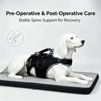 Attelle dorsale pour animaux de compagnie OEM ODM avec ressorts métalliques intégrés en néoprène pour la prévention des blessures vertébrales et de la spondylose, attelle dorsale pour chien