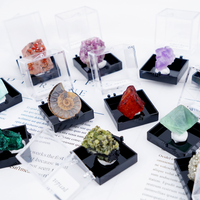 Boîte de présentation en acrylique pour spécimens, prix de gros, pour collection de cristaux naturels bruts et minéraux, boîte de rangement pour bijoux