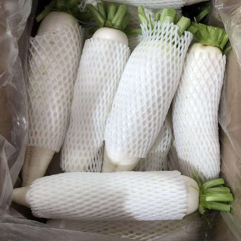 Top Grade White Radish turnip Offer