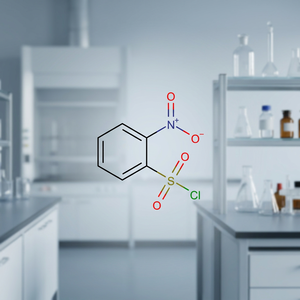 Ortho-nitrobenzène SO2 CHLORIDE N° CAS 1694-92-4 Poudre blanc cassé à 99 % de pureté, intermédiaire organique Shivnath - Product Image 3