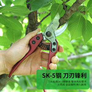 Sécateur Old Friend LHJ44, lame en acier au carbone, poignée rouge, manuel, pour la taille des arbres fruitiers, outils de jardin - Product Image 4