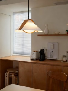 Lampe suspendue vintage style Domus du milieu du siècle, avec poids d'équilibrage, réglable en hauteur, pour salle à manger, café et hôtel - Product Image 5