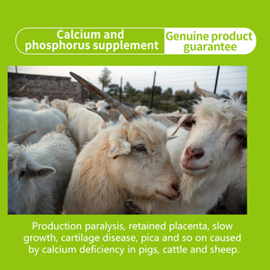 Propionato de calcio de alta biodegradabilidad Mejora la calidad de la cáscara de huevo Prevenir el raquitismo Pollitos Grado alimenticio Vitaminas Minerales Lugar - Product Image 2