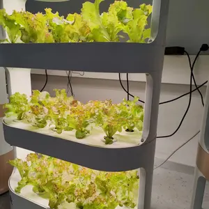 Gabinete para plantas de interior Cultivador hidropónico vertical Sistema de plantación Gabinete de cultivo