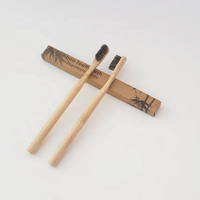 Brosse à dents en poils de cheval 100% biodégradable pour adultes, naturelle, écologique, pour usage domestique, emballage en boîte kraft