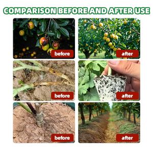 <span class=keywords><strong>Engrais</strong></span> biologique pour la croissance rapide des plantes, Dracaena Sanderiana, pour les racines des arbres - Product Image 4