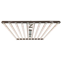 Lampes de culture commerciales haute puissance 1000W LED Horticulture Bande de croissance des plantes d'intérieur Lm301b Dimmable Spectre complet Barre lumineuse LED