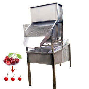 Máquina Separadora de Tallos de Cereza Industrial de Alta Velocidad, Máquina Divisora de Racimos de Cereza - Product Image 1