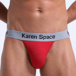 <span class=keywords><strong>Ali</strong></span> <span class=keywords><strong>baba</strong></span> producto publicar logotipo personalizado Tanga para hombre ropa interior con diseño cómodo - Product Image 1