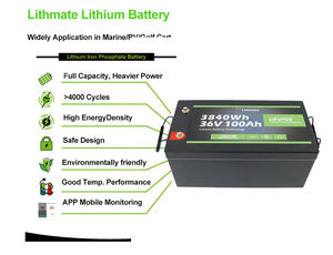 Lifepo4 36 вольт литиевая морская батарея 100 ач литиевая батарея 36 в 100 ач - Product Image 2