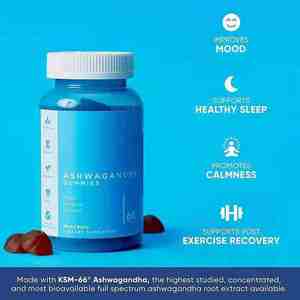Permen Gummy Ashwagandha untuk menghilangkan stres tidur & kecemasan-Vegan non-gmo dewasa mendukung memori kekebalan & energi (kesehatan sehari-hari) - Product Image 3