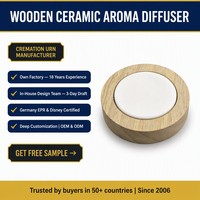 Diffuseur en céramique solide écologique pour huiles essentielles, pierre aromatique poreuse à haute absorption, ensemble de supports pour la maison et le bureau