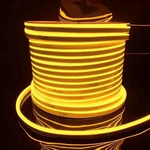 Kualitas Tinggi Tegangan Tinggi 24V 15Mm 20Mm 100M Led Tali Cahaya dengan 120Leds 110V 220V Led Strip untuk Dekorasi LED Neon Strip Cahaya