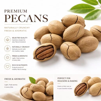 Nueces de Pecán Orgánicas Secas al por Mayor, Exportación a Granel, Calidad Superior, Fabricante de Alimentos, Certificaciones Completas, Etiqueta de Empaque Personalizada OEM