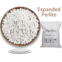 Perlite volcanique naturelle pour le jardinage, rapports de test complets, exportation FCL prête pour les entreprises internationales d'horticulture agricole