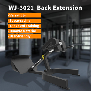 New Style Commercial Gym Plate Loaded <strong>Back</strong> Extension <strong>Machine</strong>-Multi-functional <strong>Back</strong> <strong>Stretching</strong> <strong>Machine</strong> for Sale - Product Image 3