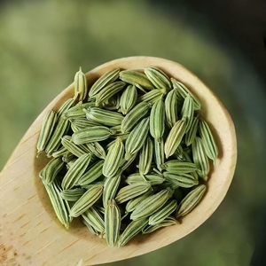 Graines <span class=keywords><strong>de</strong></span> fenouil Huaran <span class=keywords><strong>de</strong></span> qualité supérieure, entières et séchées, pour la cuisine, l'assaisonnement et la préparation culinaire quotidienne - Product Image 4