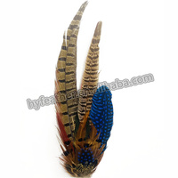 Kustom asli Trim bulu topi Pin topi Trim bulu untuk DIY kerajinan pria koboi Fedora topi kostum Cosplay Millinery Aksesori rambut
