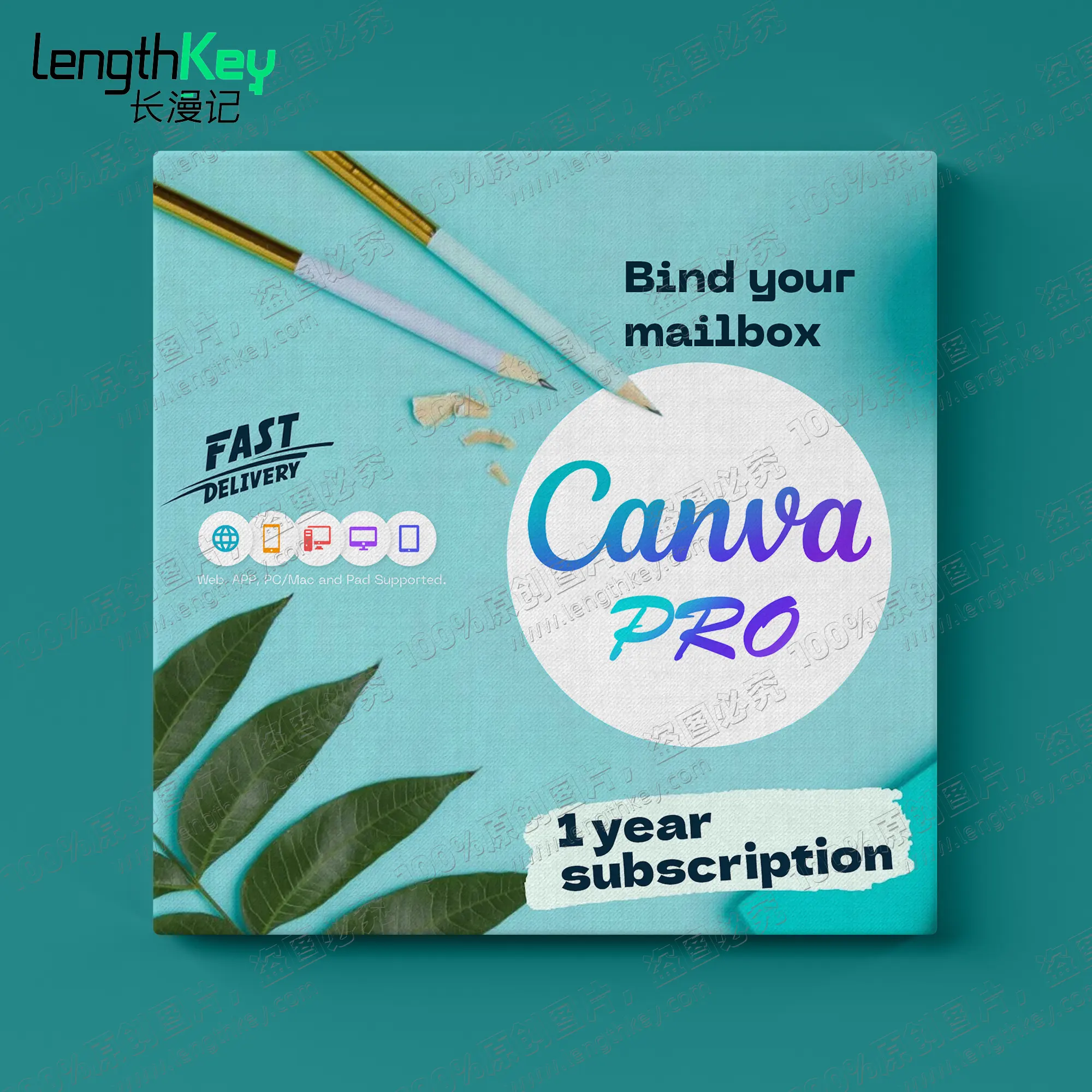 24/7 онлайн Canva Pro Private Account 1 год подписки коммерческого использования официальное Подлинное программное обеспечение для графического дизайна онлайн не Edu