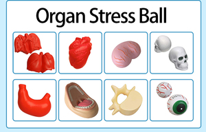 Balle anti-stress QM Premium 63/70 mm en PVC, cadeaux promotionnels originaux, impression sérigraphique personnalisée, jouet à presser - Product Image 5