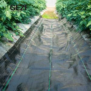 Estera <span class=keywords><strong>de</strong></span> barrera <span class=keywords><strong>de</strong></span> malezas, camas <span class=keywords><strong>de</strong></span> jardín vegetal, fruta agrícola alrededor <span class=keywords><strong>de</strong></span> árboles, planta <span class=keywords><strong>de</strong></span> horticultura, lago bajo cubierta <span class=keywords><strong>de</strong></span> grava, valla <span class=keywords><strong>de</strong></span> césped, <span class=keywords><strong>camino</strong></span> - Product Image 2