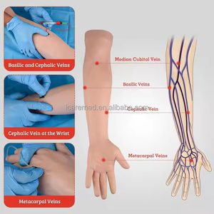 Nuevo Modelo de Brazo para Práctica de Punción Intravenosa 2024, Simulación de Inyección para Enfermería con Equipo Médico - Product Image 4