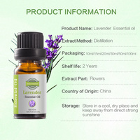 Huile de parfum naturelle pure en gros pour brûleur, huile essentielle de lavande pour massage, aromathérapie, beauté, spa et diffuseur