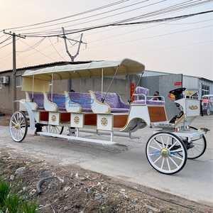 Découvrez les avantages des charrettes électriques de tourisme blanches, un transport spécial pour touristes - Product Image 1