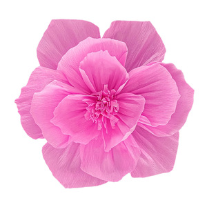 Riesige Creppapierblume Hintergrund Geburtstag Party Hochzeit Raumdekoration Versorgungsbedarf Creppapierblume - Product Image 1