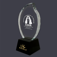 Nouveau design trophée de flamme à facettes en cristal optique gravé de spectacle équestre personnalisé