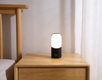 Veilleuse LED portable à détecteur de mouvement, rechargeable par USB, à intensité variable, pour chambre et couloir