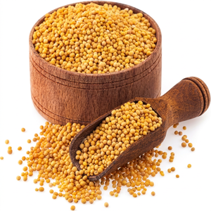 Semillas de Mostaza Amarilla Enteras Sarson, Especias Suaves para Cocinar y Procesar Alimentos, Venta al por Mayor - Product Image 1