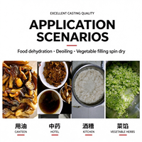 Déshydrateur alimentaire, essoreuse à légumes, sécheuse à fruits, machine de déshydratation automatique, séchage sous vide, chauffage au gaz, acier inoxydable 304