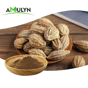 ターミナリア・チェブラ（ミロバラン）エキス 2% ケブリック酸 - Product Image 1