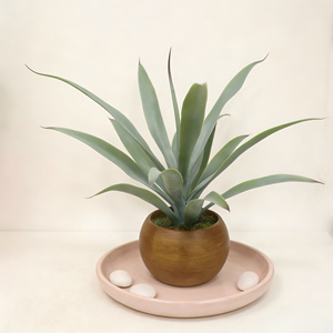 Plante d'agave réaliste à 15 feuilles dans un pot en pulpe de papier avec faux sol pour un aspect naturel, idéal pour la décoration de table de bureau à domicile - Product Image 6