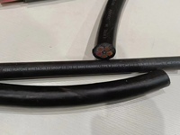 Câble de connexion pour générateur de type W robuste, résistant aux intempéries, avec gaine en caoutchouc renforcée